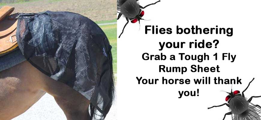 Fly rump sheet for sale