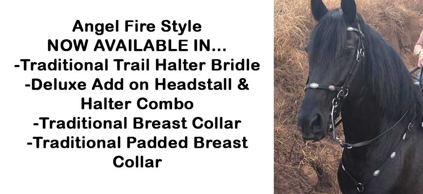 Angel Fire Concho Tack for sale!